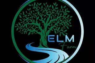 5 Quince Rd, Newburgh, NY 12550 - Photo 3