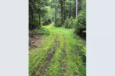 698 Cooley Road, Parksville, NY 12768 - Photo 25