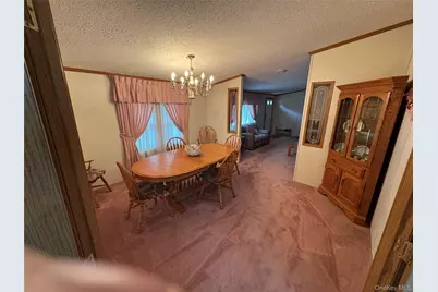 698 Cooley Road, Parksville, NY 12768 - Photo 9