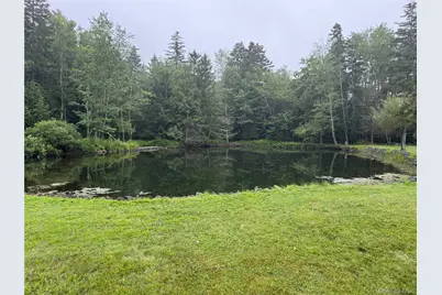 698 Cooley Road, Parksville, NY 12768 - Photo 5