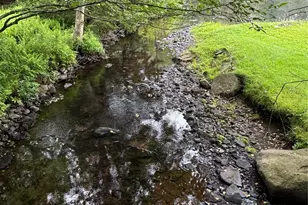 698 Cooley Rd, Parksville, NY 12768 - Photo 23