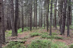 698 Cooley Rd, Parksville, NY 12768 - Photo 27