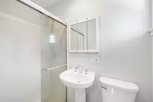 52 North Dr, Manhasset Hills, NY 11040 - Photo 27