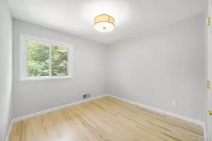 52 North Dr, Manhasset Hills, NY 11040 - Photo 29