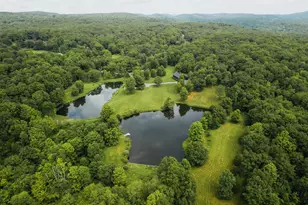 358 Shelley Hl Rd, Stanford, NY 12581 - Photo 35