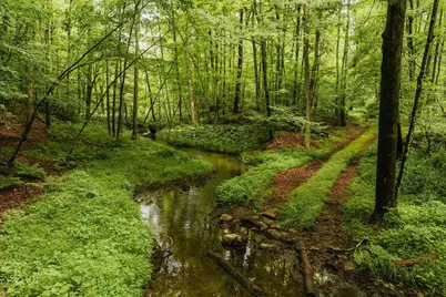 358 Shelley Hill Road, Stanford, NY 12581 - Photo 31