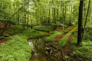 358 Shelley Hl Rd, Stanford, NY 12581 - Photo 31