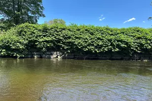 40 River St, Livingston Manor, NY 12758 - Photo 5