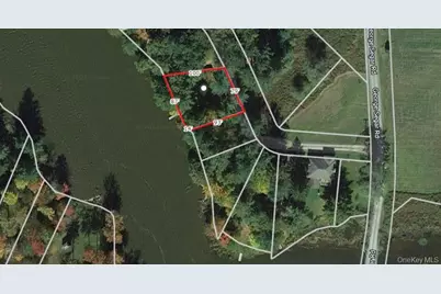 25 George Segar Road, Swan Lake, NY 12783 - Photo 33