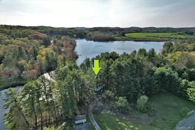 25 George Segar Road, Swan Lake, NY 12783 - Photo 3