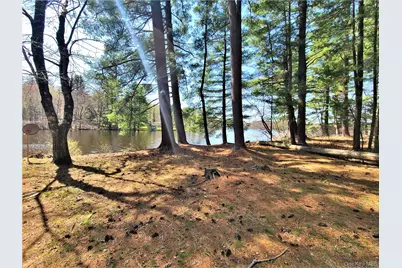 25 George Segar Road, Swan Lake, NY 12783 - Photo 19