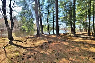 25 George Segar Rd, Swan Lake, NY 12783 - Photo 19