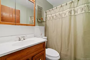 788 Fox Mountain Rd, White Sulphur Springs, NY 12758 - Photo 23