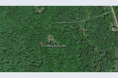 613 Betty Brook Road, Call Listing Agent, NY 13842 - Photo 33