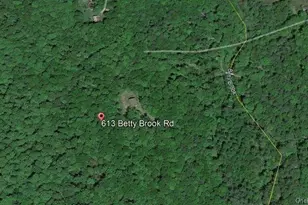 613 Betty Brook Rd, Call Listing Agent, NY 13842 - Photo 33