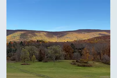 1131 E Ancram Road, Ancramdale, NY 12503 - Photo 17