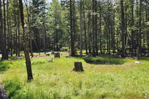 57 Haddock Rd, Monticello, NY 12701 - Photo 43