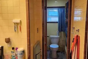 7 Meadow St, Livingston Manor, NY 12758 - Photo 11