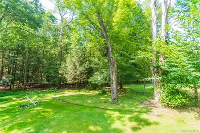 17 W Thompson Place #103PL, Bethel, NY 12778 - Photo 11