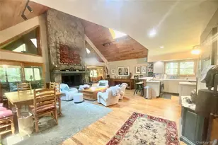 111 Deer Meadow Rd, Bethel, NY 12720 - Photo 7