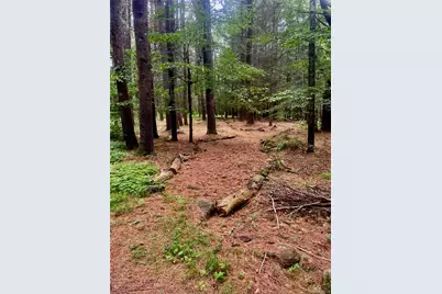 111 Deer Meadow Road, Bethel, NY 12720 - Photo 39