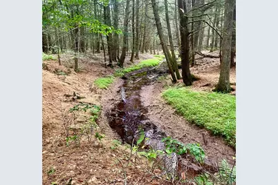 111 Deer Meadow Road, Bethel, NY 12720 - Photo 37