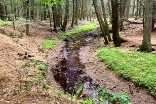 111 Deer Meadow Rd, Bethel, NY 12720 - Photo 37