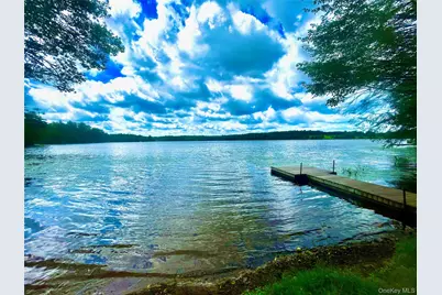 111 Deer Meadow Road, Bethel, NY 12720 - Photo 3