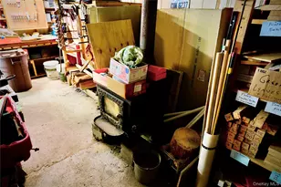 669 Shandelee Rd, Livingston Manor, NY 12758 - Photo 45