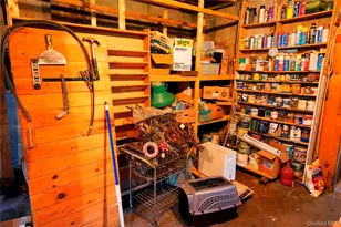 669 Shandelee Rd, Livingston Manor, NY 12758 - Photo 41