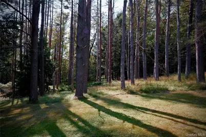 669 Shandelee Road, Livingston Manor, NY 12758 - Photo 15