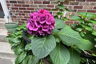 3392 Wayne Ave, Bronx, NY 10467 - Photo 27