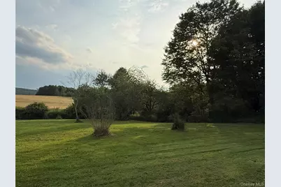 811 Briscoe, Liberty, NY 12783 - Photo 5