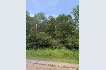 811 Briscoe, Liberty, NY 12783 - Photo 3