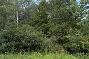 811 Briscoe, Liberty, NY 12783 - Photo 3