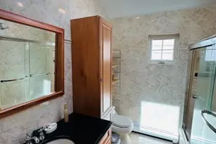 31 Woodward St, Roslyn Heights, NY 11577 - Photo 19