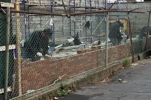 150-20 12th Rd, Whitestone, NY 11357 - Photo 3