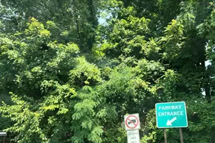 25 Harrison St, Mount Vernon, NY 10550 - Photo 25