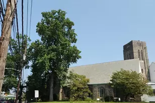 25 Harrison St, Mount Vernon, NY 10550 - Photo 21