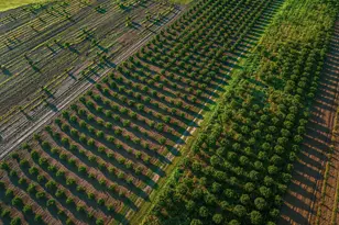 34600 34750 & 34920 Route 25, Orient, NY 11957 - Photo 3