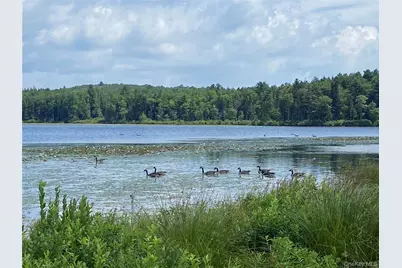 15 Bailey Lake Road, Kiamesha Lake, NY 12751 - Photo 3