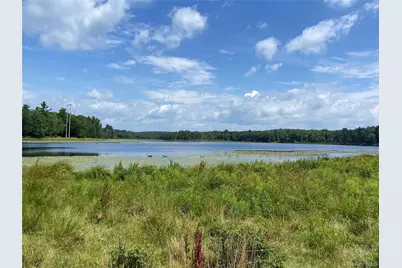 15 Bailey Lake Road, Kiamesha Lake, NY 12751 - Photo 27