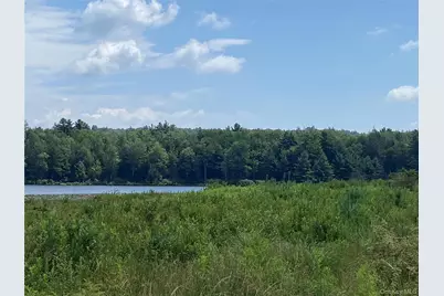 15 Bailey Lake Road, Kiamesha Lake, NY 12751 - Photo 11