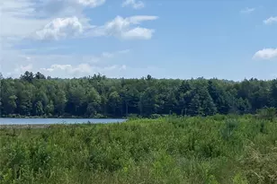 15 Bailey Lake Rd, Kiamesha Lake, NY 12751 - Photo 11