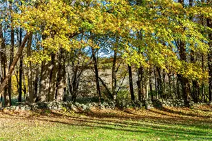 729 Cold Spring Rd, Stanford, NY 12581 - Photo 41