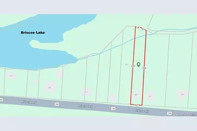 625 Briscoe Road, Swan Lake, NY 12783 - Photo 19