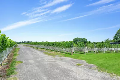 44075 Route 25, Peconic, NY 11971 - Photo 9