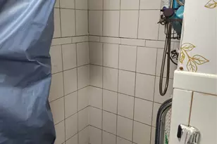 568 Drew St, Brooklyn, NY 11208 - Photo 5