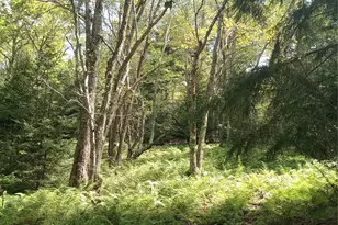 834 Cooley Rd, Parksville, NY 12768 - Photo 25