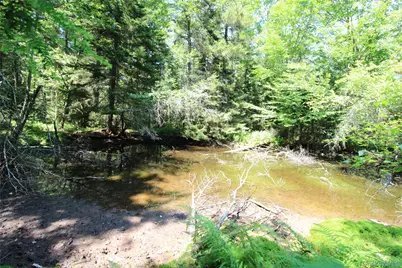 834 Cooley Road, Parksville, NY 12768 - Photo 19